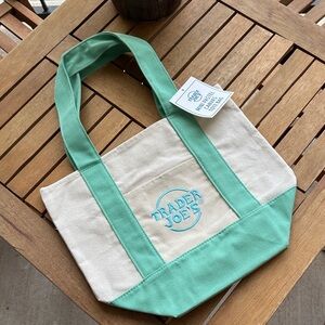 Spring Pastel mint mini tote 💚